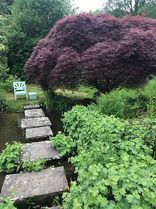 What's on offer. stepping stones